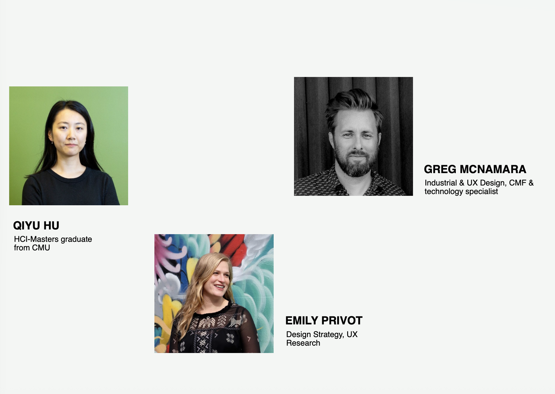 Project team: Qiyu Hu, Greg McNamara, Emily Privot